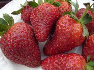 Strawberries on plate